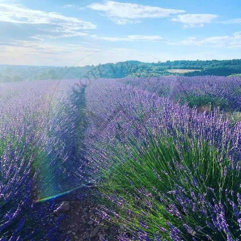 Côté Verdon Quinson Esterno foto
